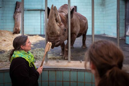 Frankfurt, Germany - February 14, 2019: Frankfurt Zoo staff cleans rhinoのeditorial素材