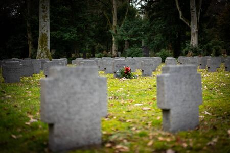 Frankfurt, Germany - February 05, 2019: The cemetery Hauptfriedhof in Frankfurtのeditorial素材