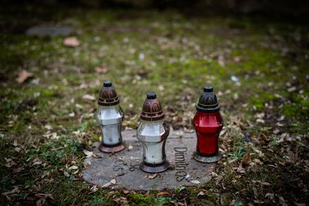 Frankfurt, Germany - February 05, 2019: The cemetery Hauptfriedhof in Frankfurtのeditorial素材