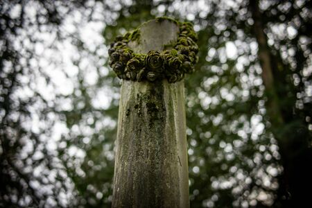 Frankfurt, Germany - February 05, 2019: The cemetery Hauptfriedhof in Frankfurtのeditorial素材