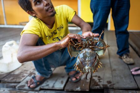 Langkawi, Malaysia - February 23, 2019: Local ranger shows horseshoecrab to tourists.のeditorial素材