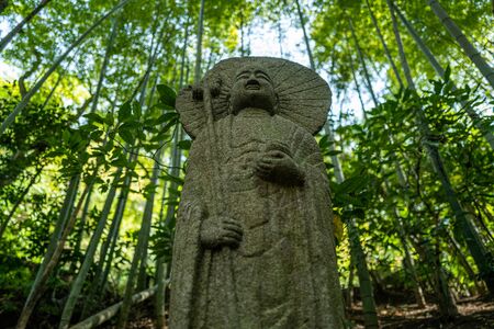 A garden in Kamakura, Japan