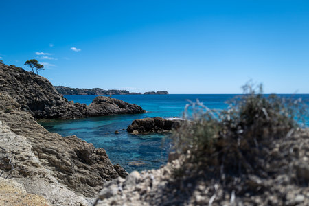 The Mallorca coastline in summerの写真素材