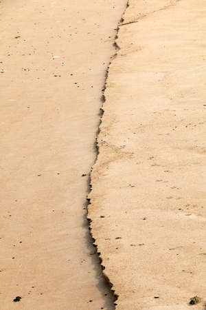 wet sand by the sea in spring