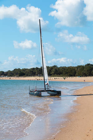 Noirmoutier, France - April 28, 2016 : a catamaran is launched before a sailing classのeditorial素材