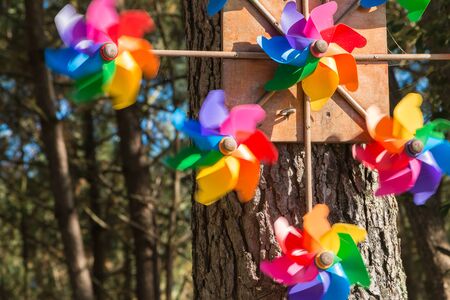 pinwheel toy hanging from a tree in forestの写真素材