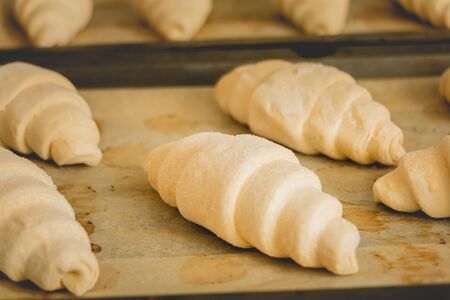 Frozen croissants on cooking paper ready to be cooked