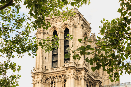 Detail of the architecture of Notre-Dame Cathedral in Paris, Franceの写真素材