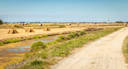 Straw boots ready to be picked up from a dirt road in Noirmoutier, Franceのeditorial素材