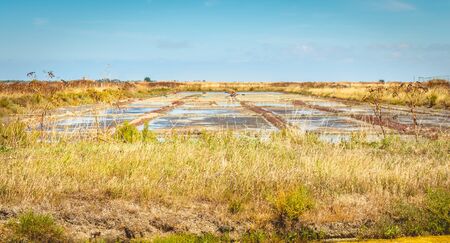 Traditional salt marsh of Noirmoutier, France during the salt harvestのeditorial素材