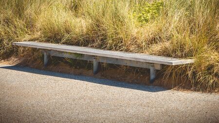 wooden bench in the middle of the verdure of a stump of sandの写真素材