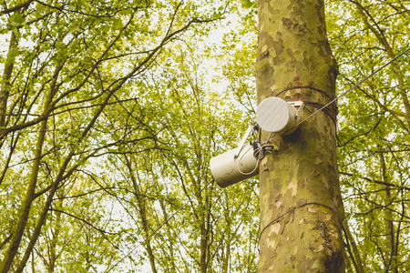 100V Line Weatherproof Outdoor Speaker hanging on a tree in a parkの写真素材