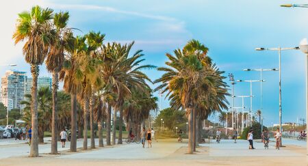 BARCELONA, SPAIN - June 20, 2017 : people are walking under the palm trees on the beach of barcelona at the end of the dayのeditorial素材