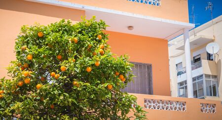 Quarteira, Portugal - May 1, 2018: Architecture detail of a typical New Town building on a spring dayのeditorial素材