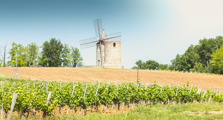 old windmill behind vineyards near Saint Emilion near Bordeaux Franceの写真素材