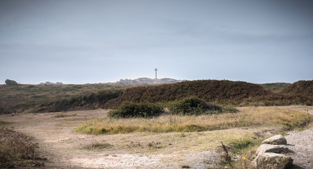 view of the wild vegetation of the cross of the tip of Chatelet on the island of Yeu, France in...