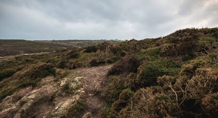 hiking trail on cliff skirting the sea in Howth, Irelandの写真素材