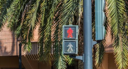 bright red pedestrian light on a street with palms in Spainの写真素材