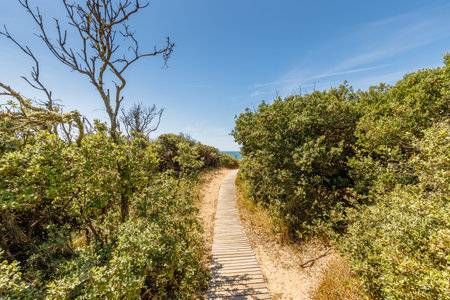 view of Pointe du Payre beach, Jard sur Mer, France on a summer day, VendÃ©e, Franceの写真素材