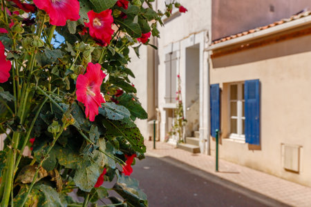 Les Sables d olonnes, France - July 10, 2022: architecture detail of residential houses in the streets of the historic city center on a summer day.のeditorial素材