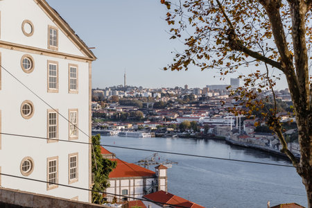 Porto, Portugal - October 23, 2020: architecture detail of typical houses in the historic city...