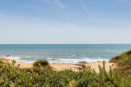 view of Pointe du Payre beach, Jard sur Mer, France on a summer day, VendÃ©e, Franceの写真素材