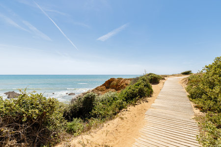 view of Pointe du Payre beach, Jard sur Mer, France on a summer day, VendÃ©e, Franceの写真素材