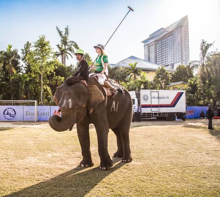 Polo Elephant Event in Bangkok riverside, Thailandの写真素材
