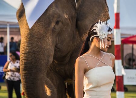 Polo Elephant Event in Bangkok riverside, Thailandの写真素材