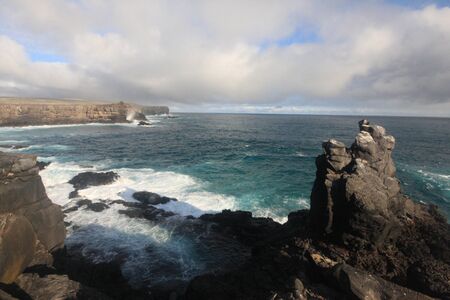 Galapagos islands and its wildlife and nature, in Ecuador