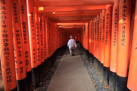 Fushimi Inari taisha thousand shrines in Kyoto Japanの写真素材