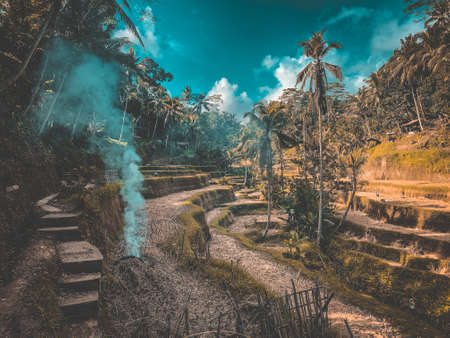 Tegallalang Rice Terraces from above, in Ubud, Bali, Indonesiaの写真素材