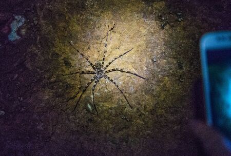 Khao Sok lake views in national park in Thailandの写真素材