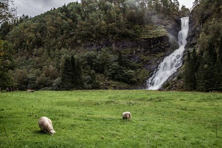 Waterfall near Bergen in Norwayの写真素材