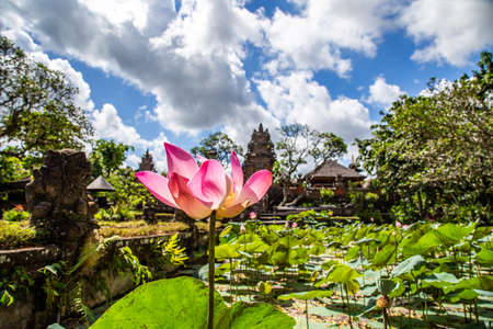 Ubud temple with pond in Bali Indonesiaの写真素材