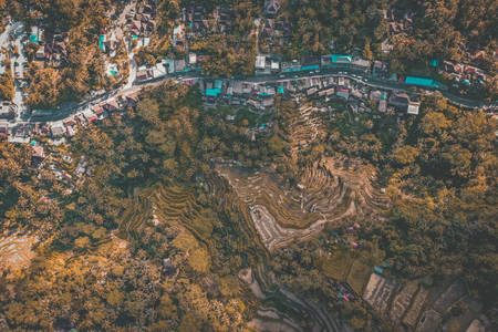 Tegallalang Rice Terraces from above, in Ubud, Bali, Indonesiaの写真素材