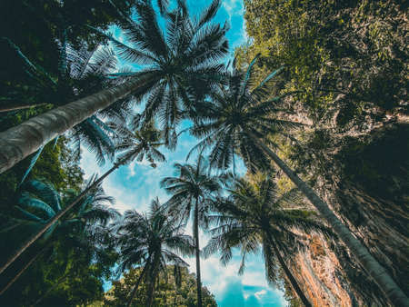 Koh Lao Lading paradise beach, island in the Andaman Sea between Phuket and Krabi Thailandの写真素材