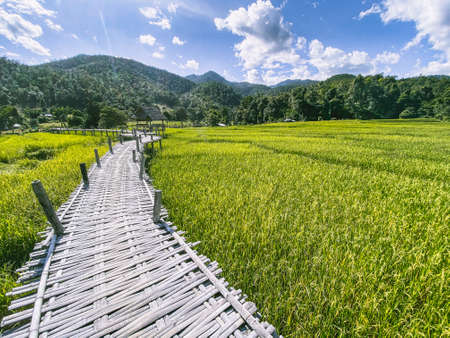 Bamboo Bridge in Pai, Mae Hong Son, Chiang Mai, thailandの写真素材