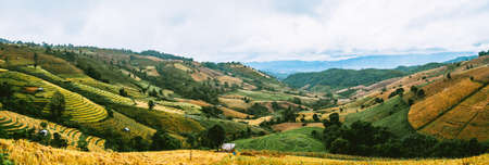 Landscape of Rice terraces on mountain at Ban Pa Pong Piang, Doi inThanon, Chiang Mai, Thailandの写真素材
