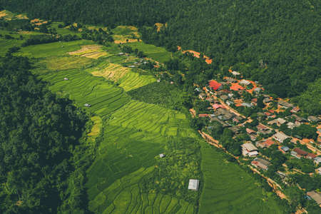 Bamboo Bridge in Pai, Mae Hong Son, Chiang Mai, thailandの写真素材
