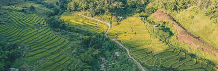 Aerial view of Nang Lae Nai Rice Terraces in Chiang Rai, Chiang Mai province, Thailandの写真素材