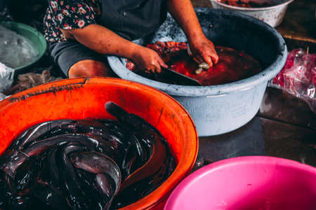 Maeklong Train Market, Talad Rom Hub, Ratchaburi, Thailandのeditorial素材