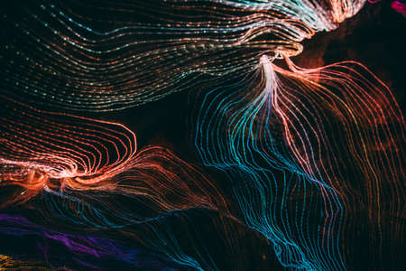Buddhist tradition light festival in Ratchaburi, Nasatta, Thailandの写真素材