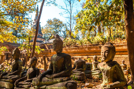Cafe 39 near Wat Umong underground temple and tunnels in Chiang Mai, Thailandの写真素材