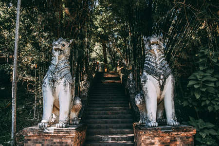 Wat Pha Lat or Wat Palad, old temple in jungle, Chiang Mai, Thailand