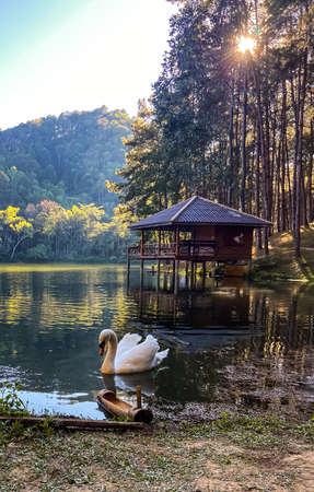 Pang Oung national park, lake and forest of pine trees in Mae Hong Son, Thailandの写真素材