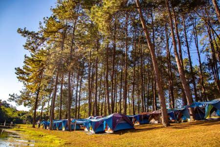 Pang Oung national park, lake and forest of pine trees in Mae Hong Son, Thailandの写真素材