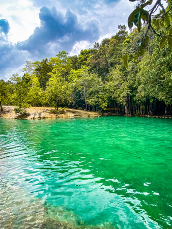Emerald Pool in Krabi rainforest and mangrove trees, Thailand. Crystal clear water ponds