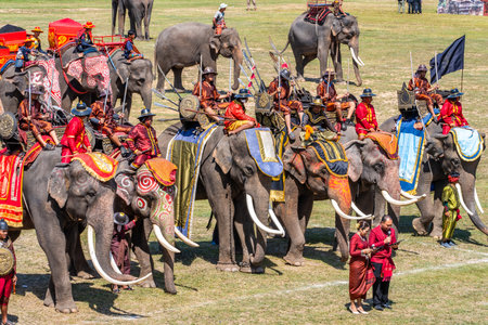 Surin Elephant roundup festival 17 november 2023のeditorial素材