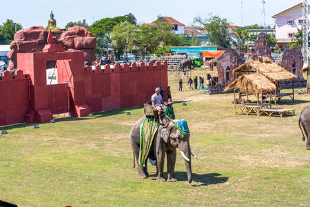 Surin Elephant roundup festival 17 november 2023のeditorial素材